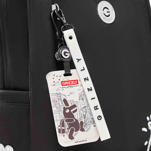 RG-666-2 Рюкзак школьный с картхолдером на держателе - Grizzly фото 10