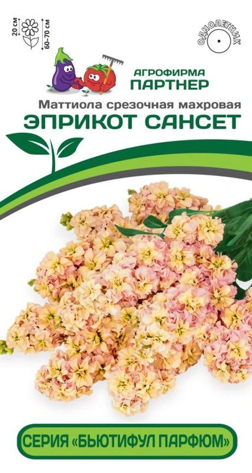 Маттиола срезочная махровая Бьютифул Парфюм Эприкот Сансет - Партнер фото 2