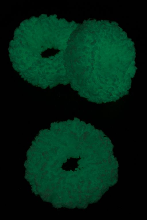 Резинки для волос светящиеся в темноте 5 см (5 шт) SF-7040, аквамариновый - No name фото 2