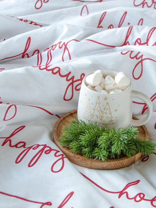Постельное бельё евро «Этель» Christmas letter, бязь