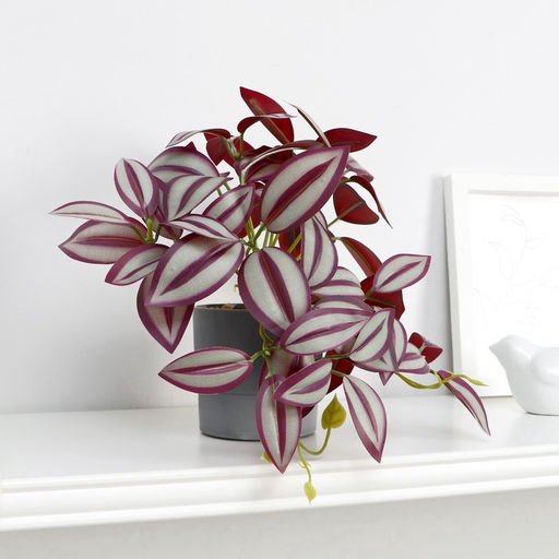 Искусственный цветок в горшке «Традесканция галант», 7.5×17 см