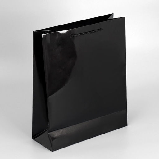 Пакет подарочный ламинированный, упаковка, черный, M 24 х 29 х 9 см