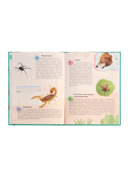 Энциклопедия «Животные»