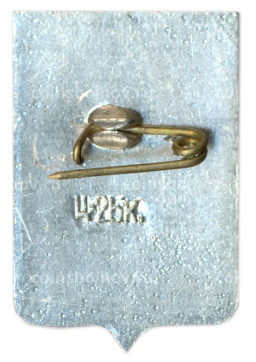 Значок Старая Русса