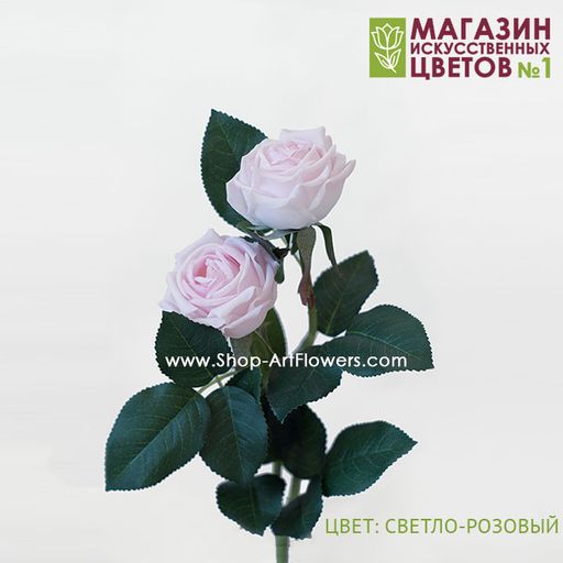 075 Роза двойная пионовидная - Без тм фото 5