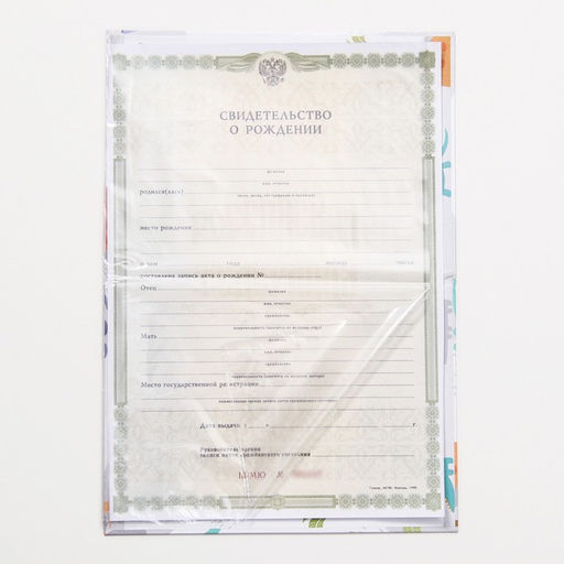 Папка для свидетельства о рождении, А5 «Динозаврики»