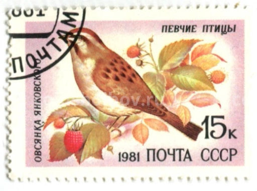 Марка Певчие птицы  Овсянка Янковского 1981 год