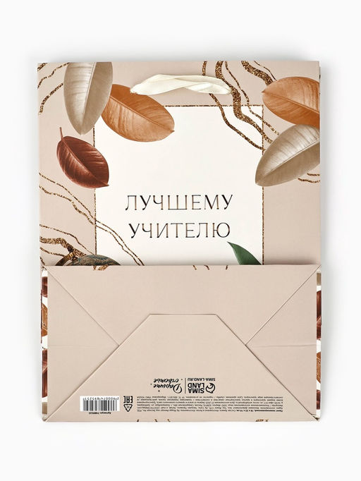 Цена за 2 шт. Пакет подарочный ламинированный, упаковка, Лучшему учителю, MS 18?23?10 см
