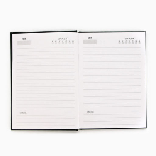 Ежедневник в подарочной коробке 23 февраля, 80 листов - Artfox фото 15