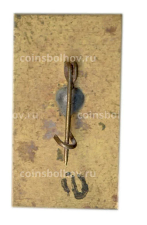 Значок Канев