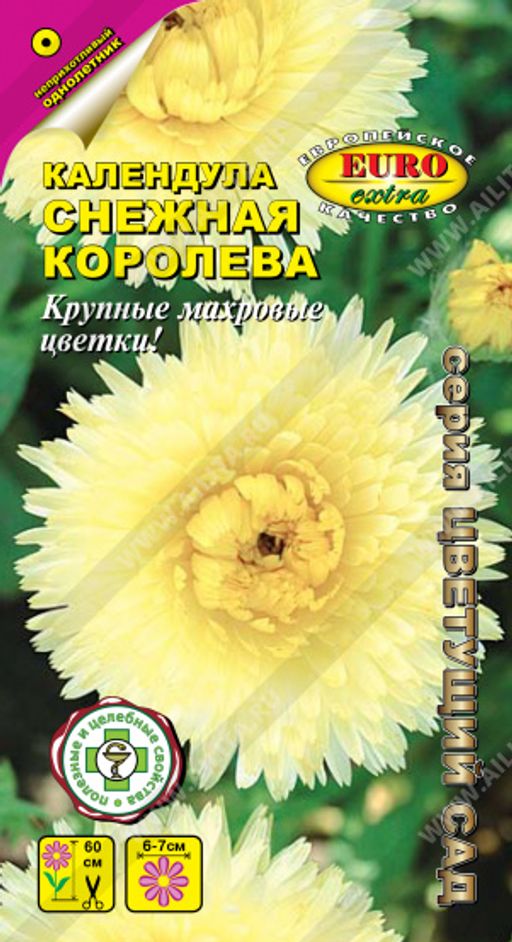 Календула Снежная королева (2027)