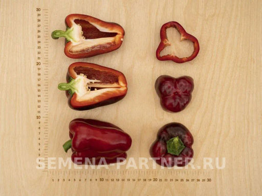 Перец сладкий Маврас - Партнер фото 8