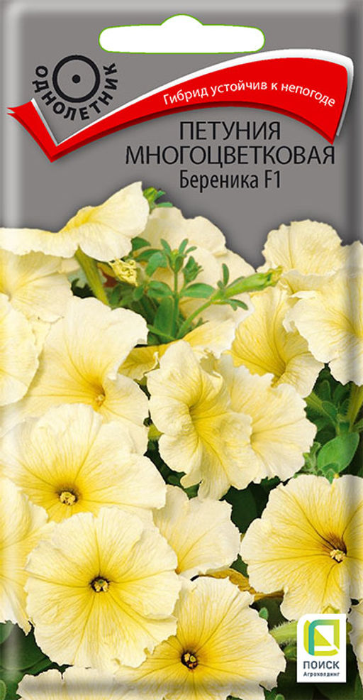 Петуния многоцветковая (мультифлора) Береника F1 (ЦВ) (1) 20шт. - Поиск фото 2