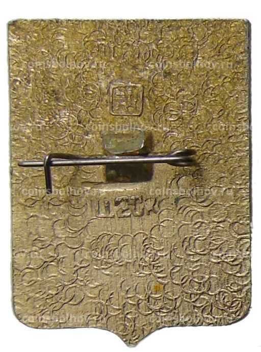 Значок Оргеев