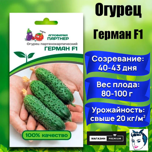 Огурец партенокарпический Герман - Партнер фото 8
