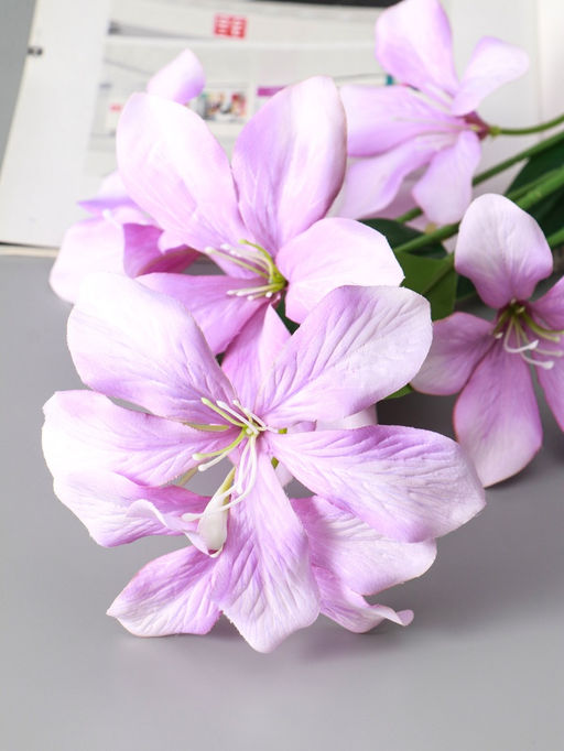 Цветы искусственные «Баухиния пёстрая», d=13 см, h=71 см, сиреневые