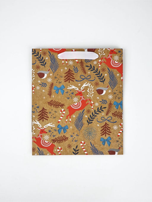 Набор пакетов крафтовых «Новогоднее поздравление»