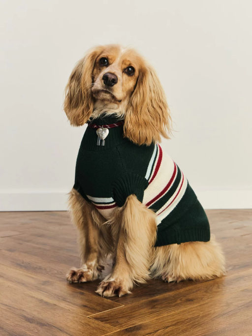 джемпер (попона) для животных / Zarina