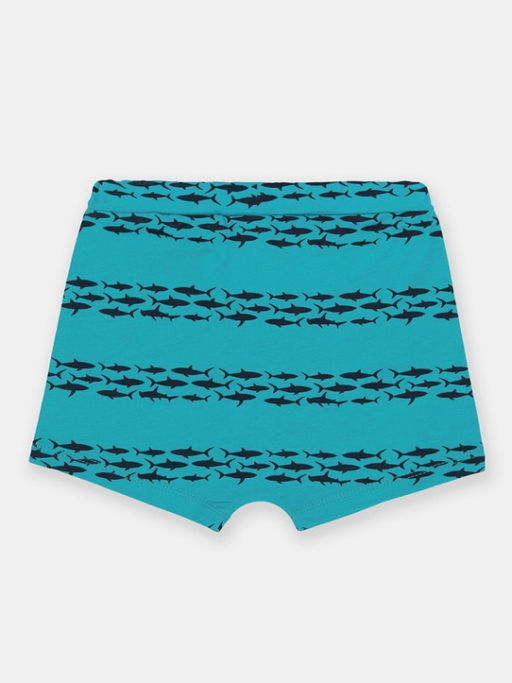 CRB wear/CSBB 70392-40-380 Шорты для мальчика,бирюзовый/Ex.Cherubino  фото 2