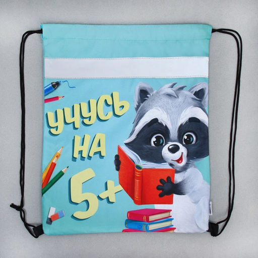 Мешок для обуви «Учусь на 5!» (со светоотражающим элементом) 41×34 см