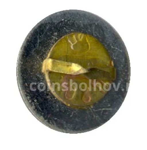 Значок Шахматы