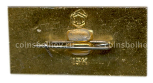 Значок Псков