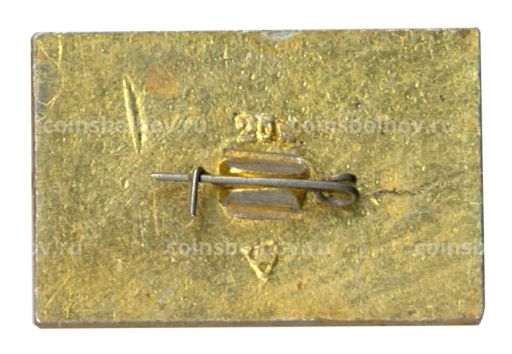 Значок Владимир