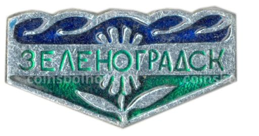 Значок Зеленоградск