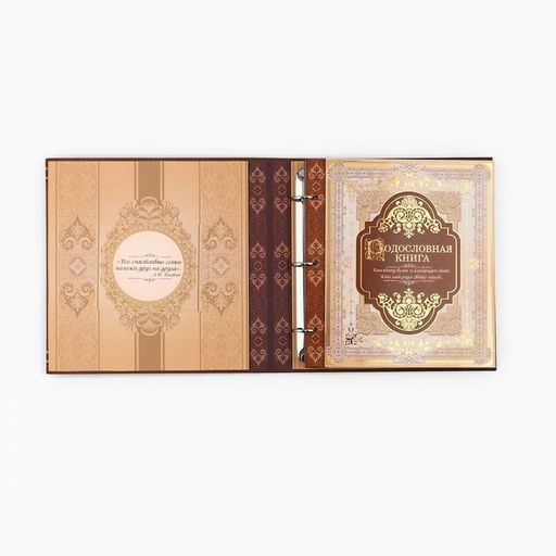 Родословная книга с рамкой под фото «Семейная», 21.5×23.7 см