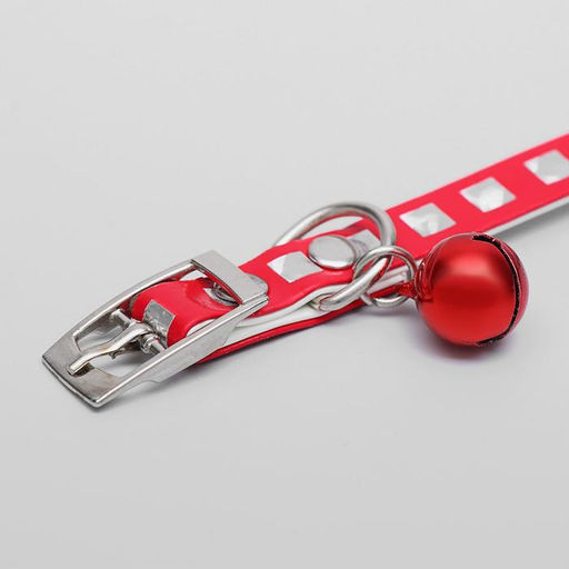 Ошейник из искусственной кожи с перламутровым декором, 30 х 1 см, микс цветов - Пижон фото 4