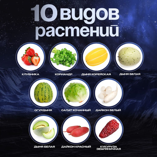 Набор для опытов «Моя мини-ферма», выращивание растений, в космосе