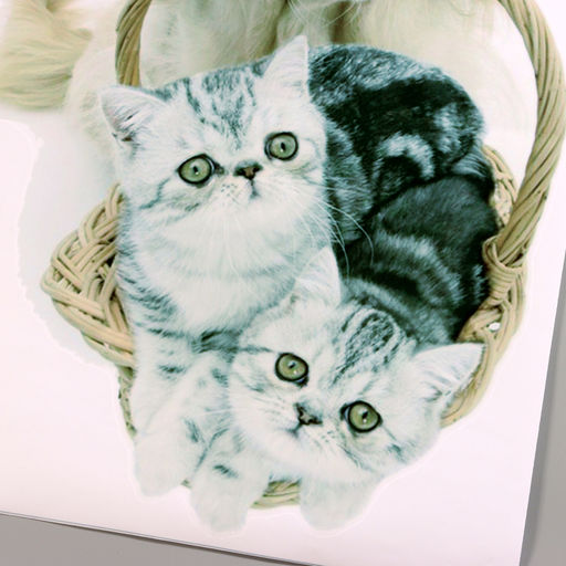 Интерьерная наклейка 3Д TAKE IT EASY «Домашние питомцы пришли», 57×40 см