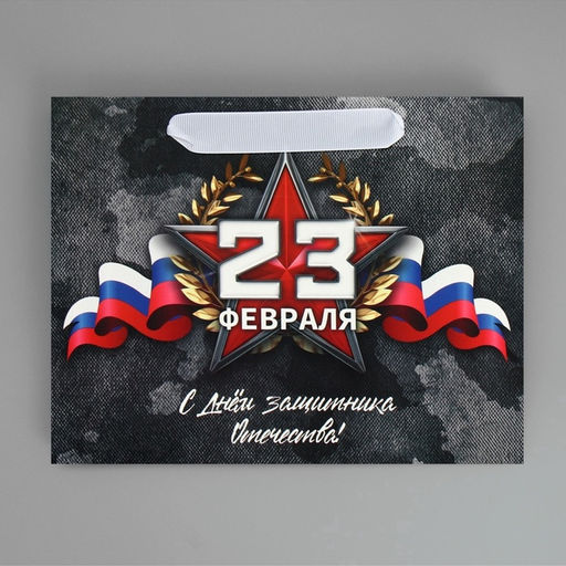 Цена за 2 шт. Пакет подарочный ламинированный, упаковка, «23 февраля», MS 23×18×10 см