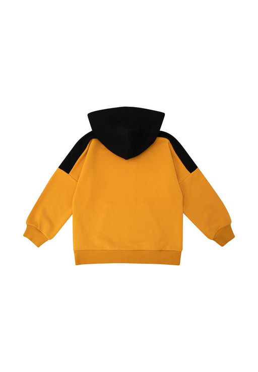 Джемпер (худи) с капюшоном д/мал. Дидрик - Oldos фото 5