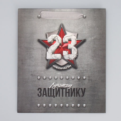 Цена за 2 шт. Пакет подарочный ламинированный, упаковка, «С 23 февраля», ML 23×27×11.5 см
