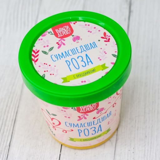 Набор подарочный для выращивания "Сумасшедшая роза"