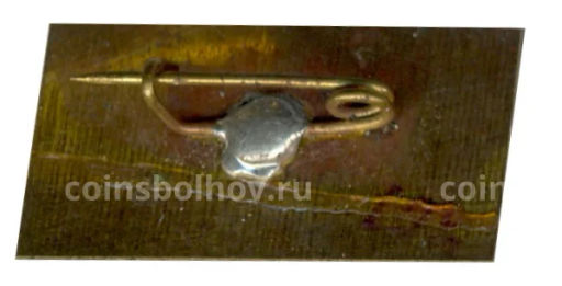 Значок Карпаты