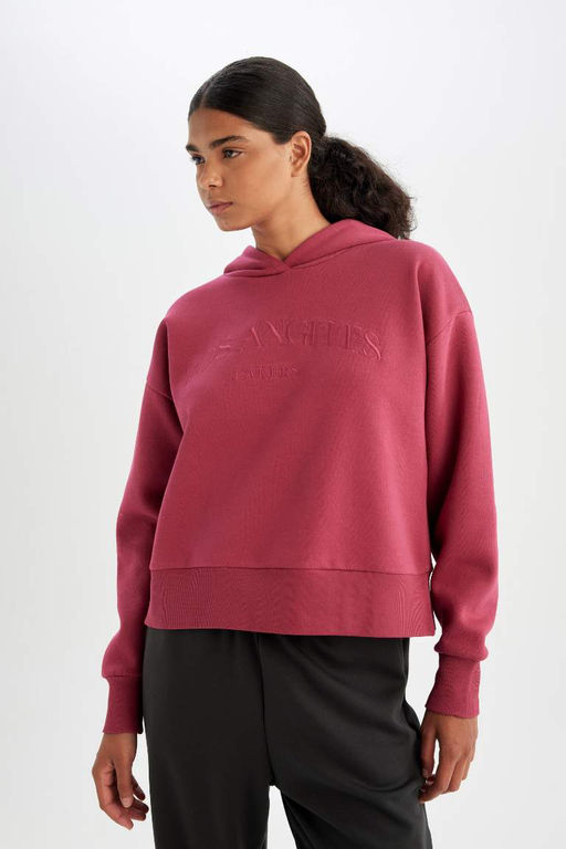 DeFactoFit Толстовка из плотной ткани с капюшоном НБА Лос-Анджелес Лейкерс  фото 4