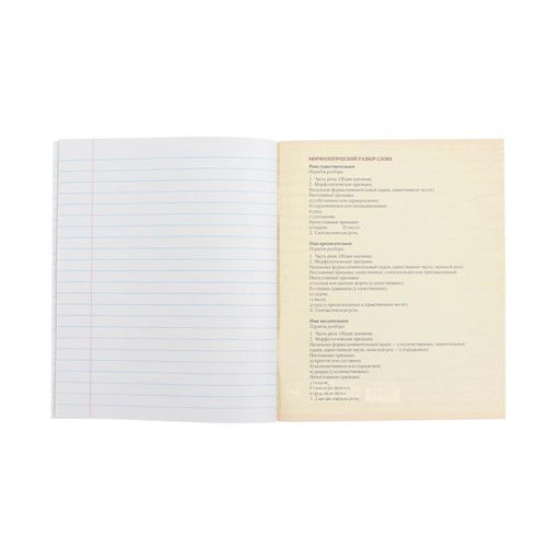 Тетрадь предметная Герб, 48 листов в линейку Русский язык, обложка мелованный картон, Уф-лак, блок офсет - Calligrata фото 4