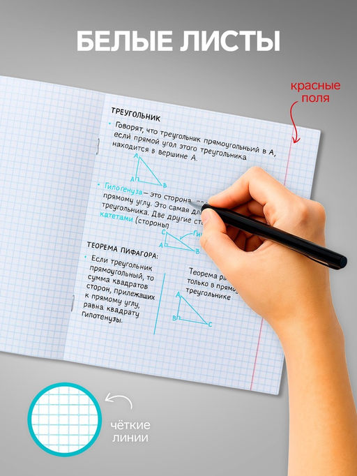 Набор тетрадей, 48 листов в клетку, Calligrata «В розовых очках», серые листы, 5 штук