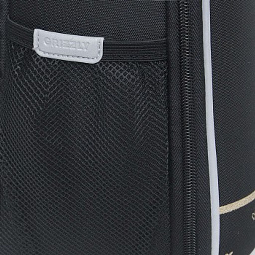 RAw-496-1 Рюкзак школьный - Grizzly фото 30