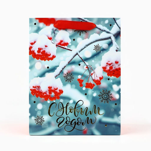 Пакет подарочный новогодний ламинированный «С Новым годом», MS 23×18×10 см