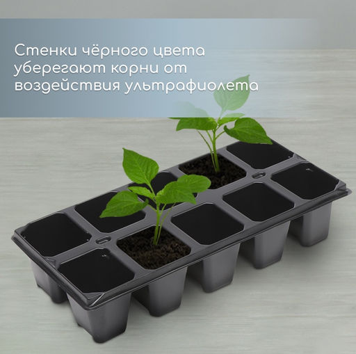 Цена за 2 шт. Кассета для рассады, 10 ячеек по 100 мл, набор 5 шт., чёрная - Simaland фото 4