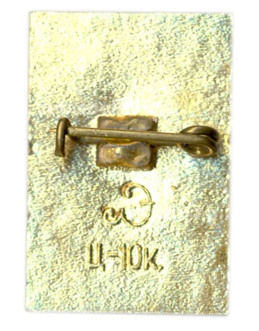 Значок Петродворец