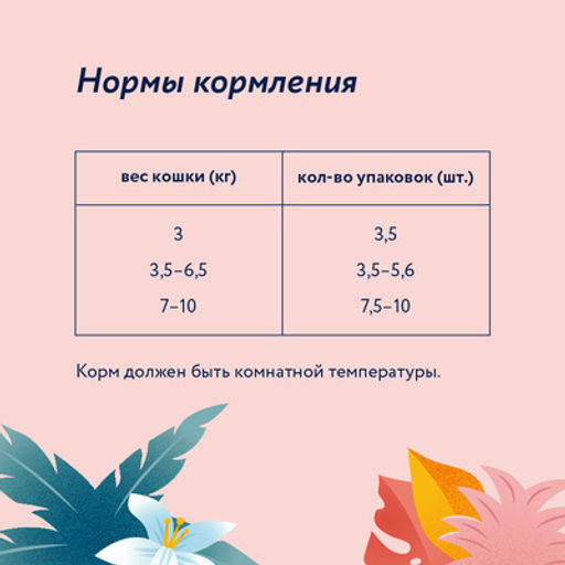 Упаковка 12 шт Паучи для взрослых кошек с чувствительным пищеварением: кусочки с лососем в соусе - Florida фото 3