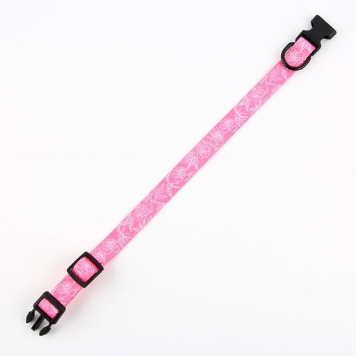 Ошейник My littlle princess, застёжка - фастекс, 2 см 25-40 см - Пушистое счастье фото 6