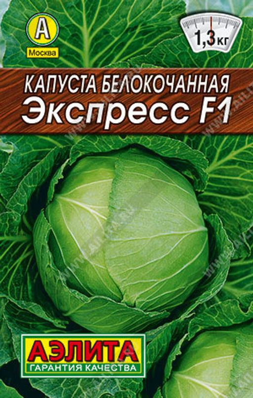 0050L Капуста б/к Экспресс F1 20шт