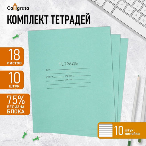 Набор тетрадей 18 листов в линейку Зелёная обложка, серые листы, 10 штук