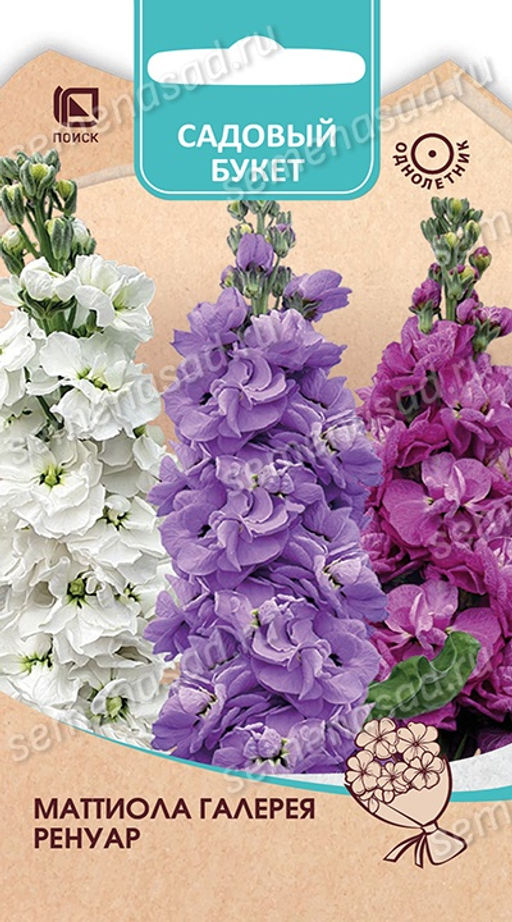 Маттиола Галерея Ренуар (Садовый букет"1) (ЦВ ) 0,05гр