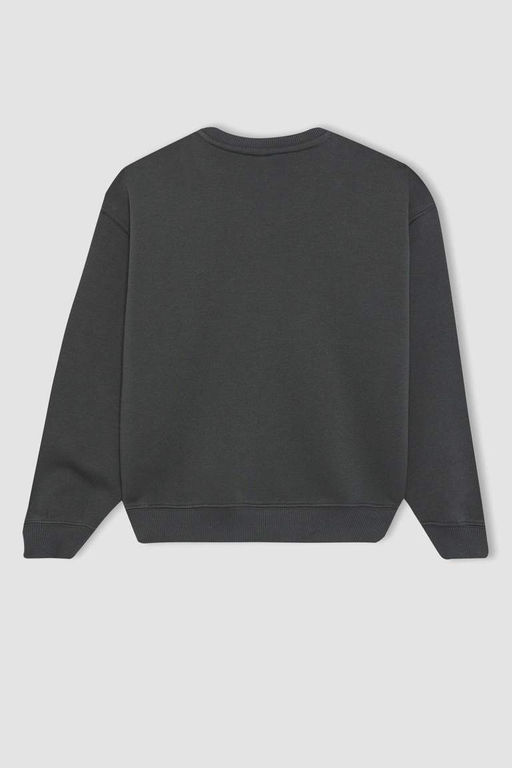 Толстый свитшот с круглым вырезом и принтом для девочек - Defacto фото 9